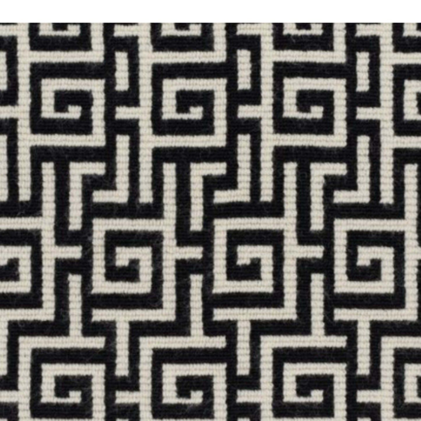 Squire in Black Carpet