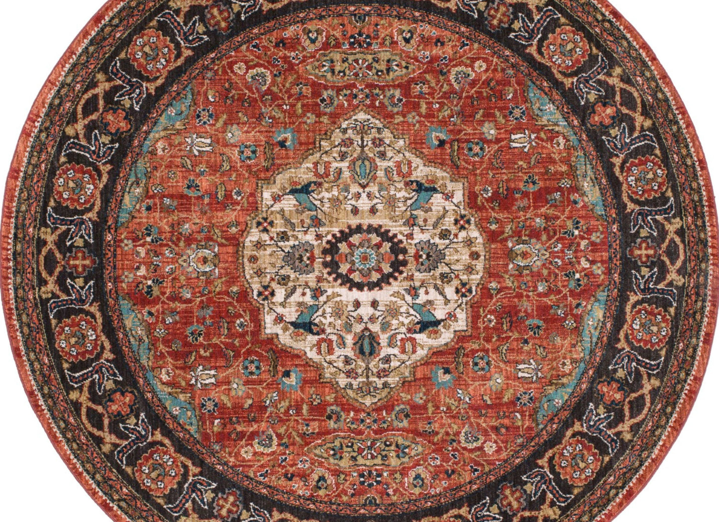 Petra Multi