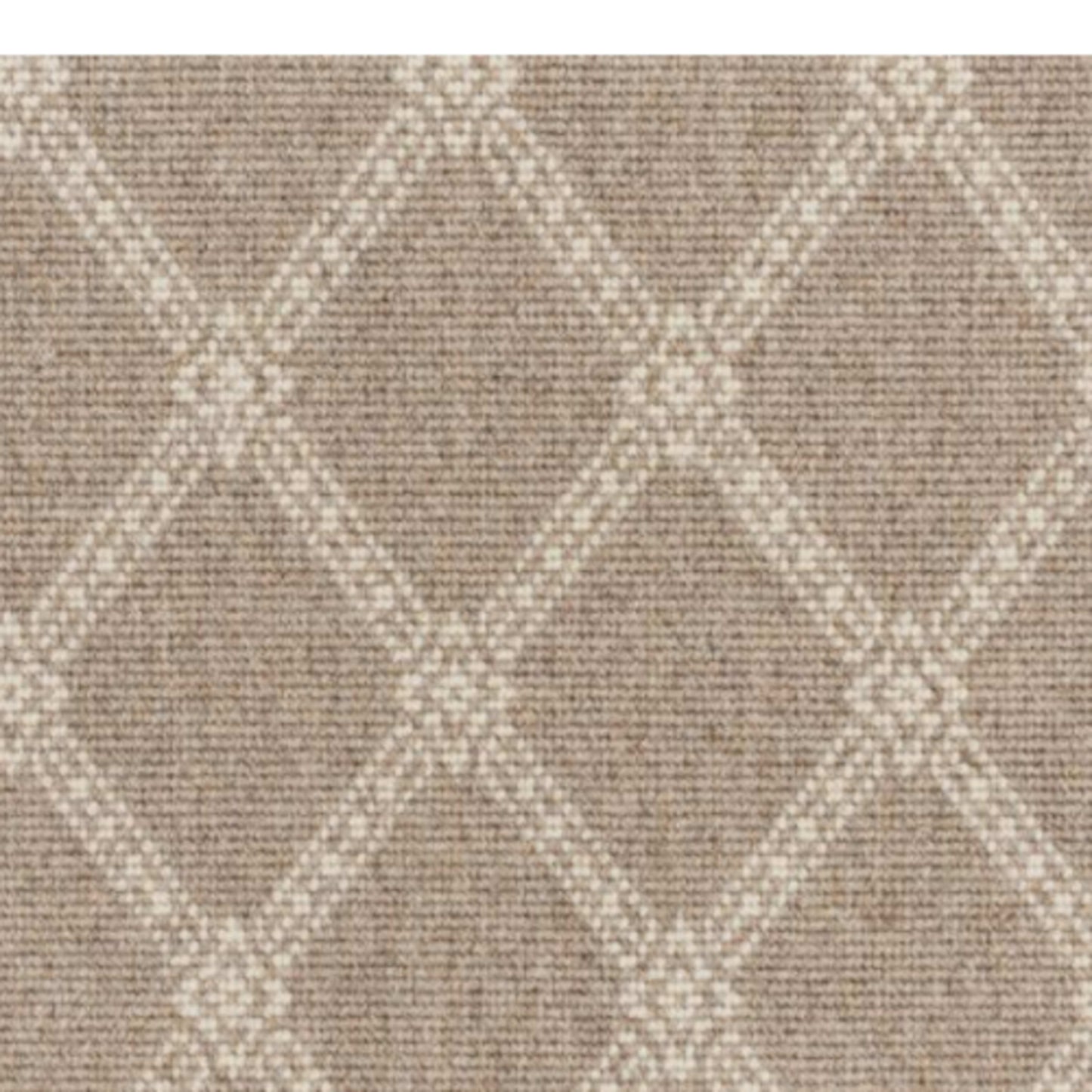 Robust in Dune Carpet