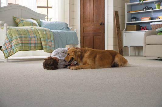 Live Without Limits: Choosing the Best Stain Resistant Carpet for Your Home