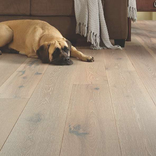 Flooring in 2022
