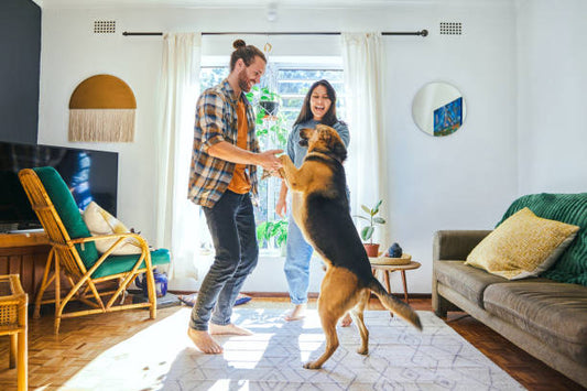 Versatile Flooring Options Havertown, PA