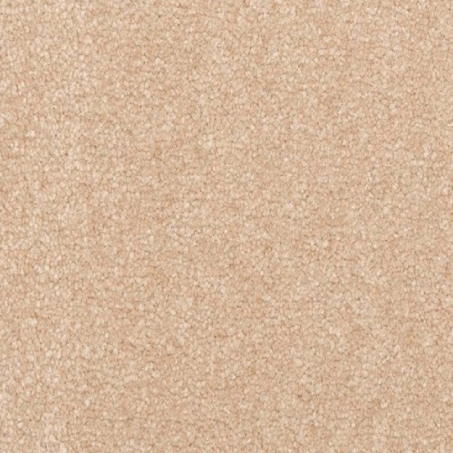 Creative Outlet II in Light Antique Carpet