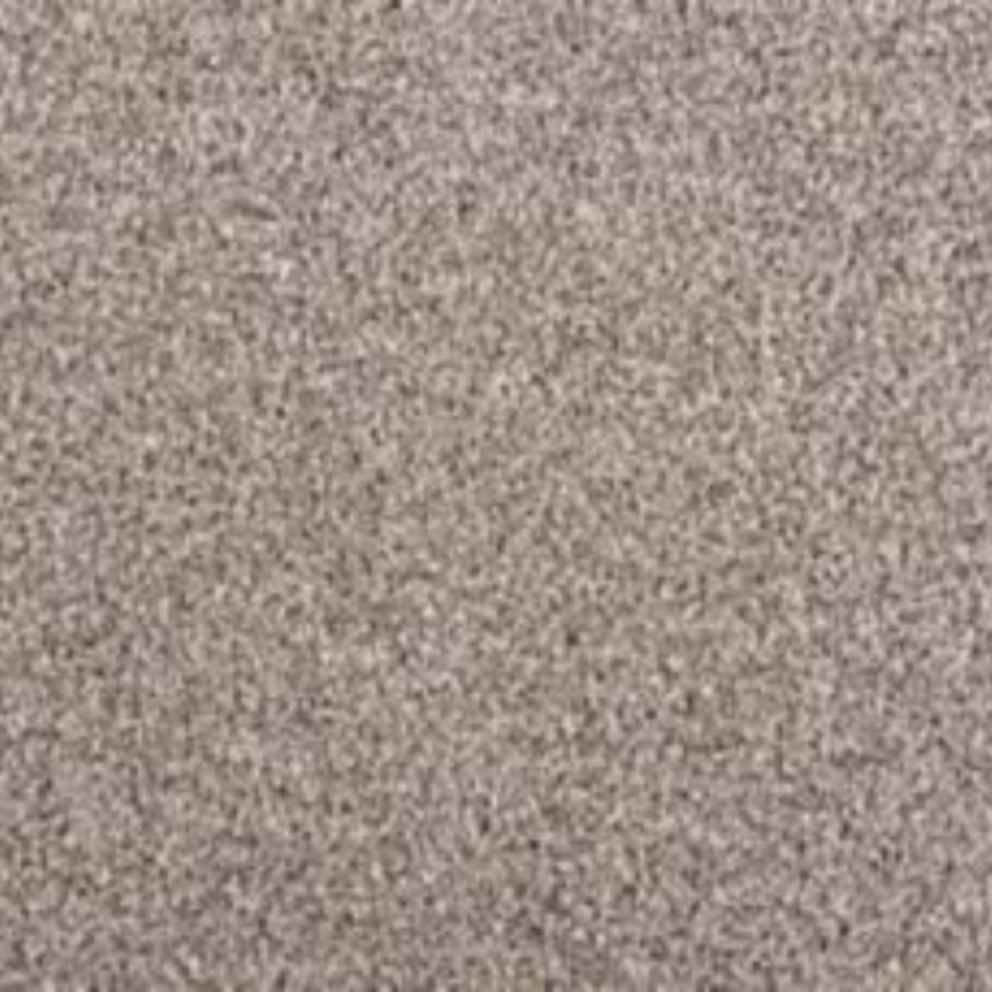 Noble View in Ice Fox Carpet