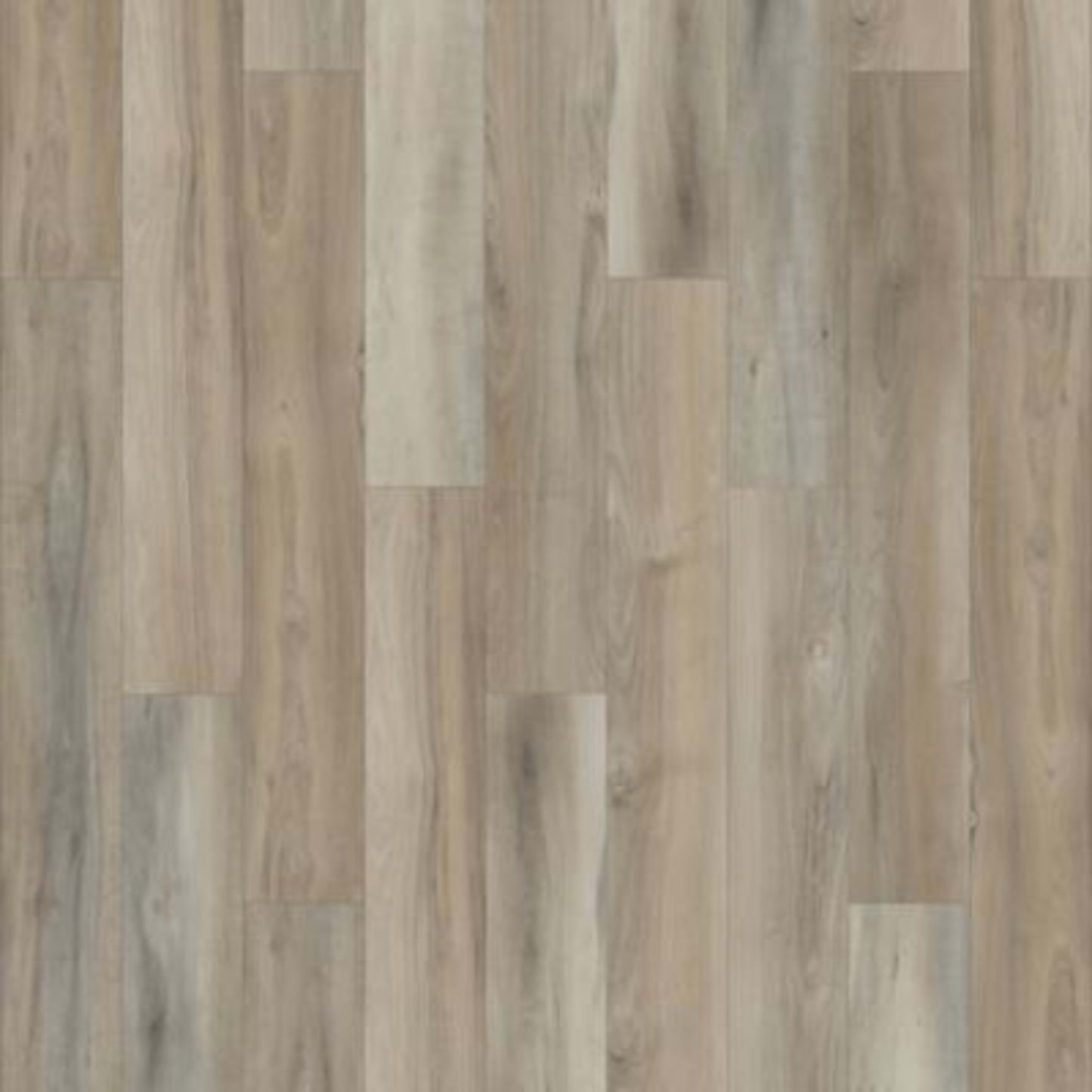 Lookout Trace in Cathedral Grey Luxury Vinyl