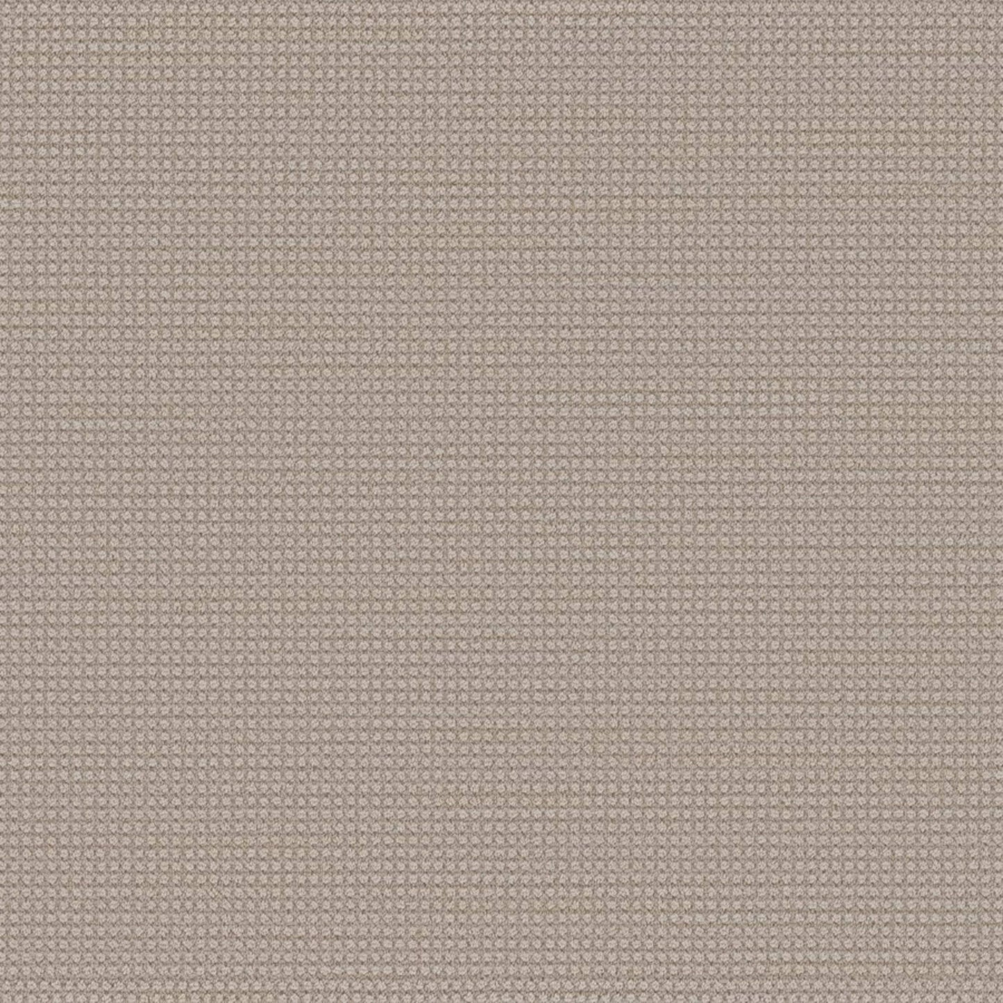 Montreal in Lion's Bay Carpet