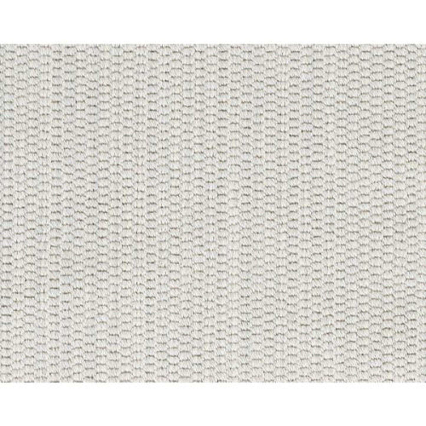 Barnes in Mint Carpet