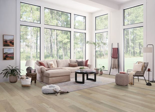 Dogwood Pro Yellow Birch Engineered in Driftscape 6-1/2" | Bruce