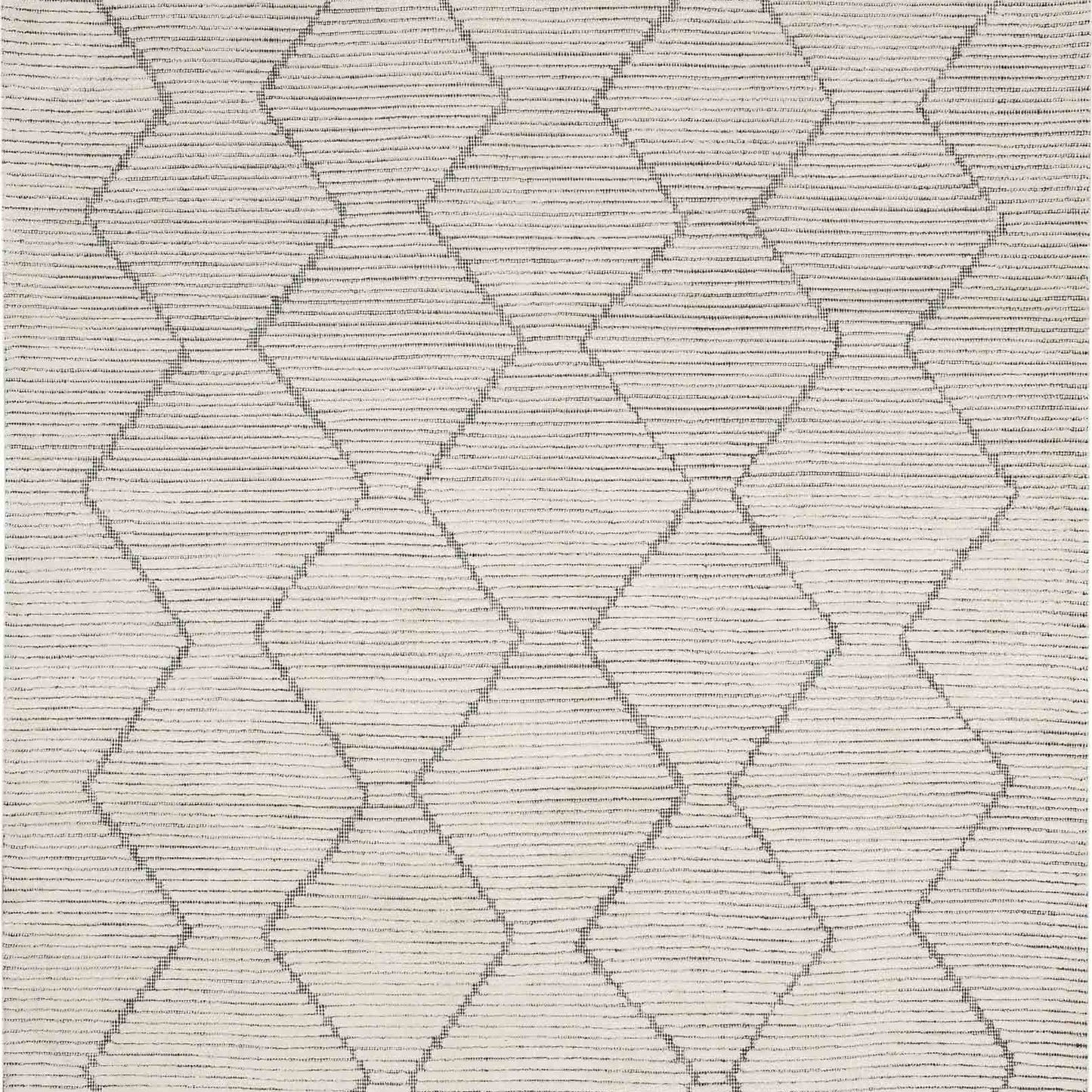 Beni Black/White in Black/White 6'X9' Area Rugs