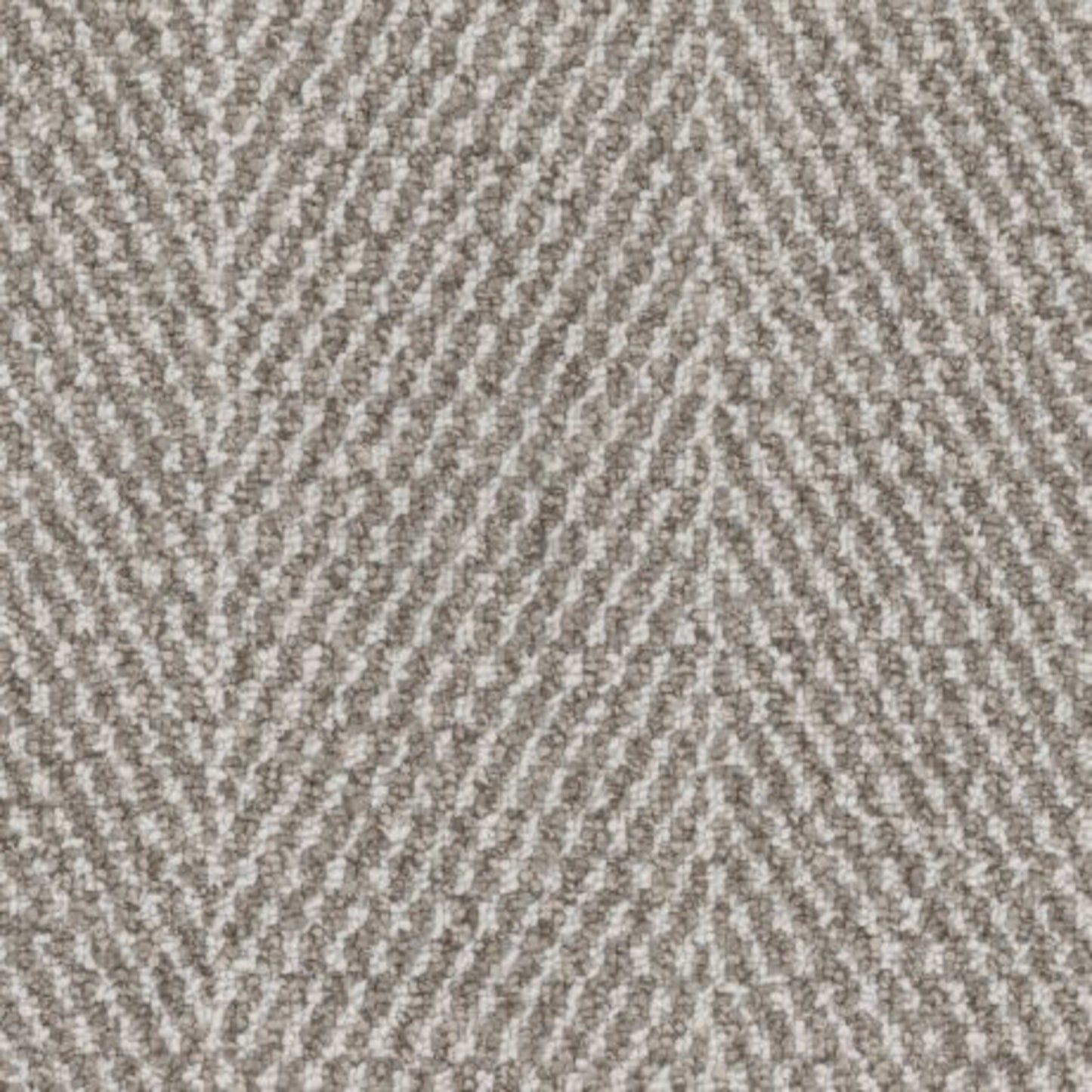 Eternal in Cashmere Carpet