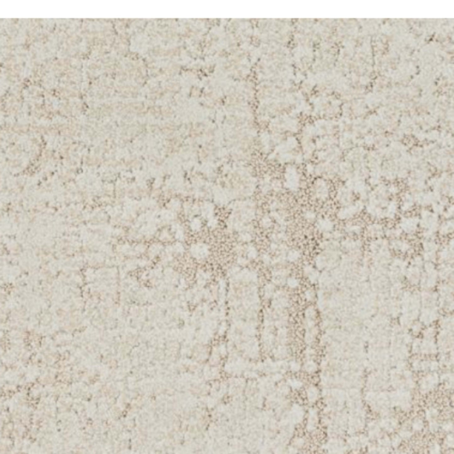 Lydon in Honey Carpet