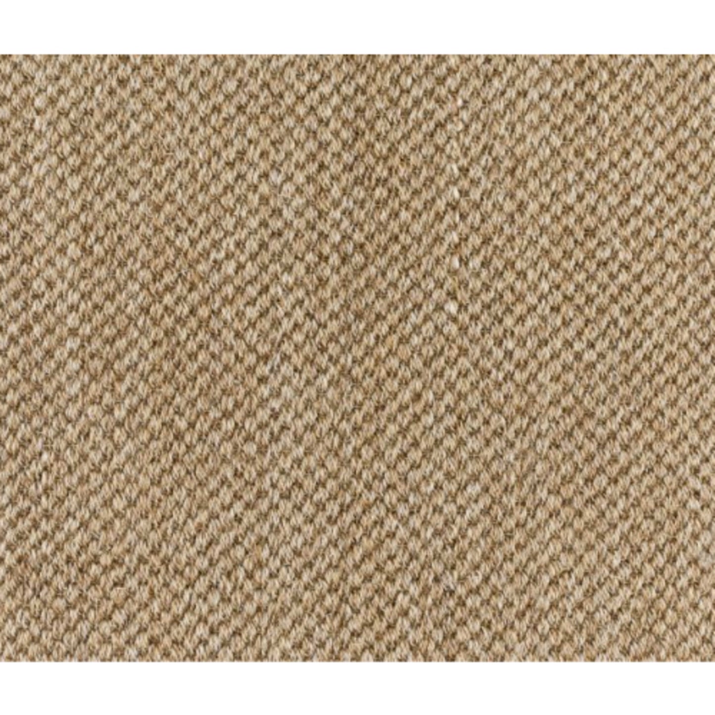 Morley in Sand Carpet