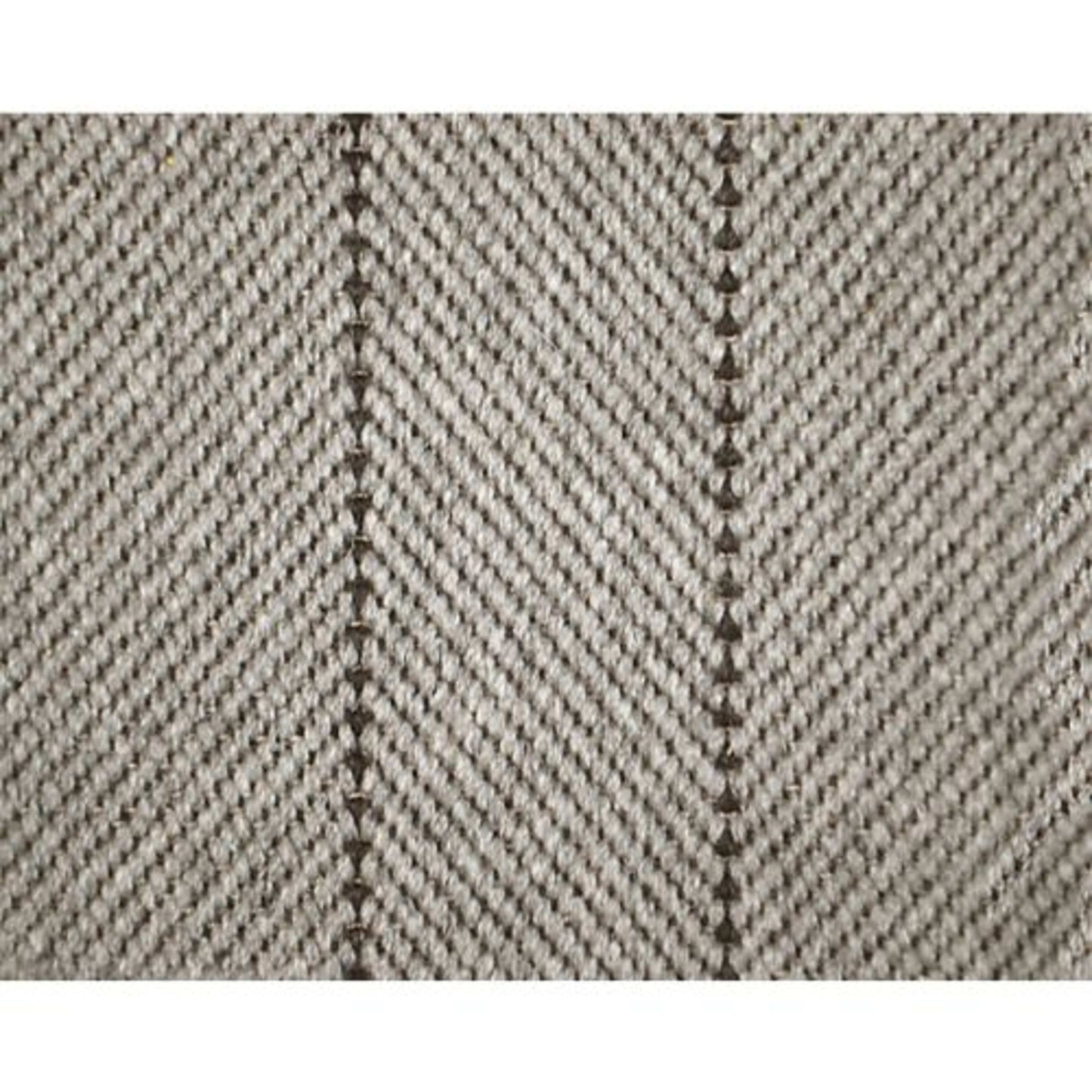 Braylon in Charcoal Carpet