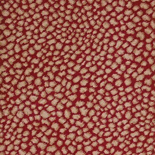 Lake Collection - Lake Safari