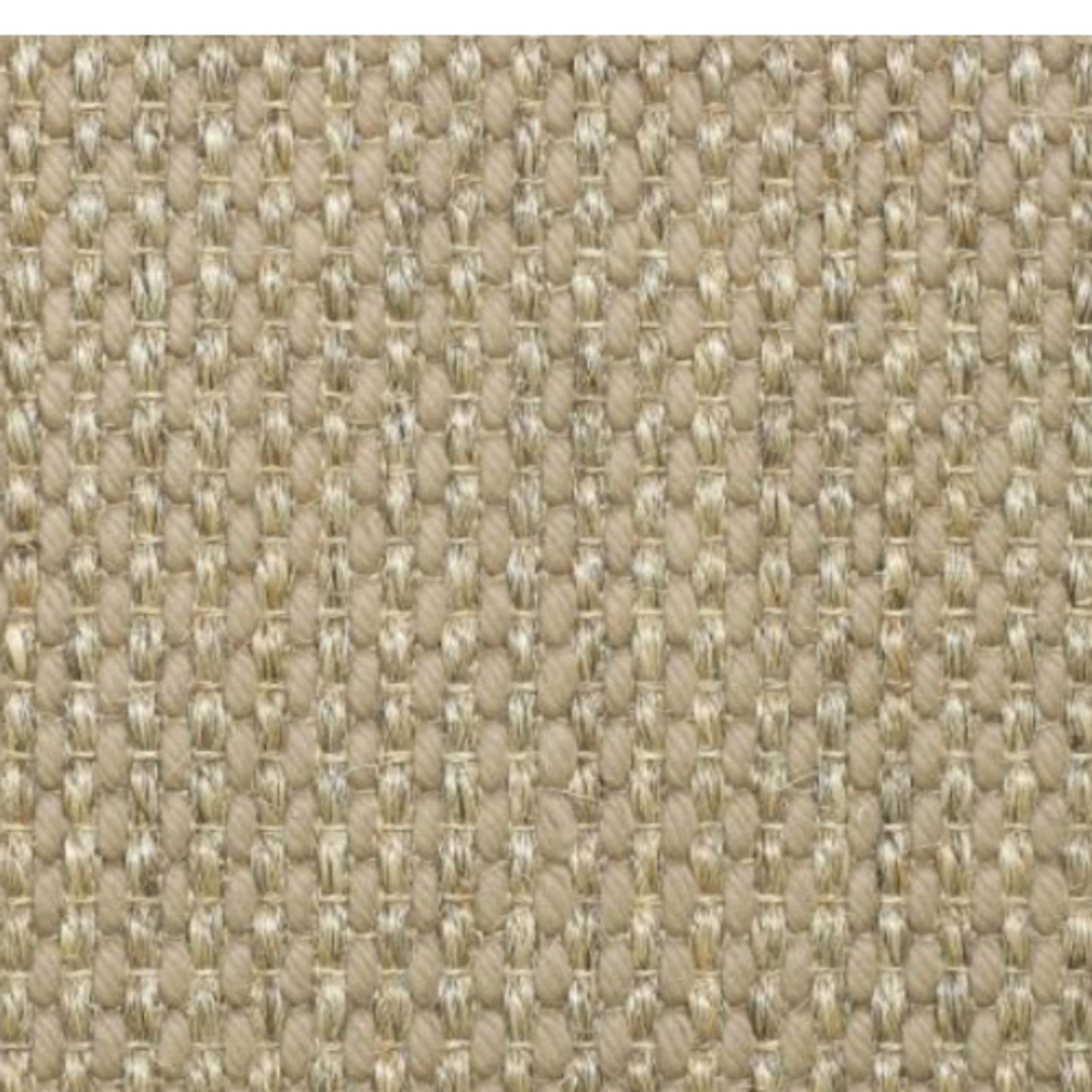 Remington in Pewter Carpet