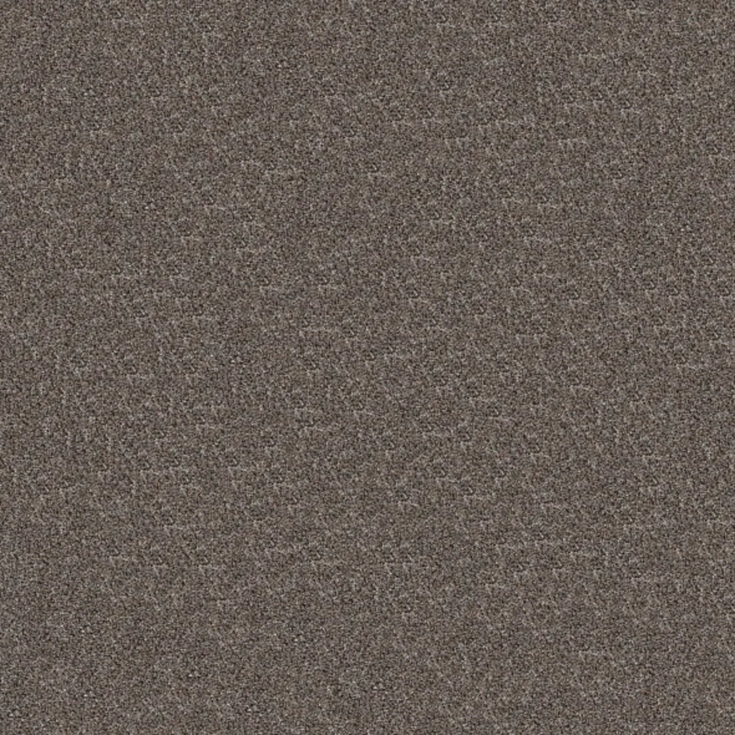 Elevated I in Flint Carpet