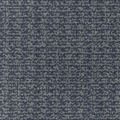 Mindful in Nautical Carpet