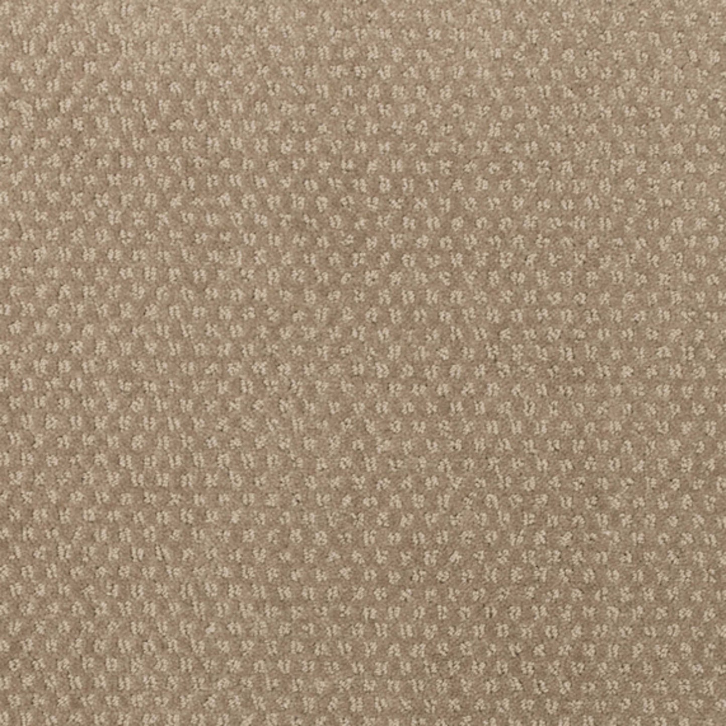 Greenwich Design in Crocker Carpet