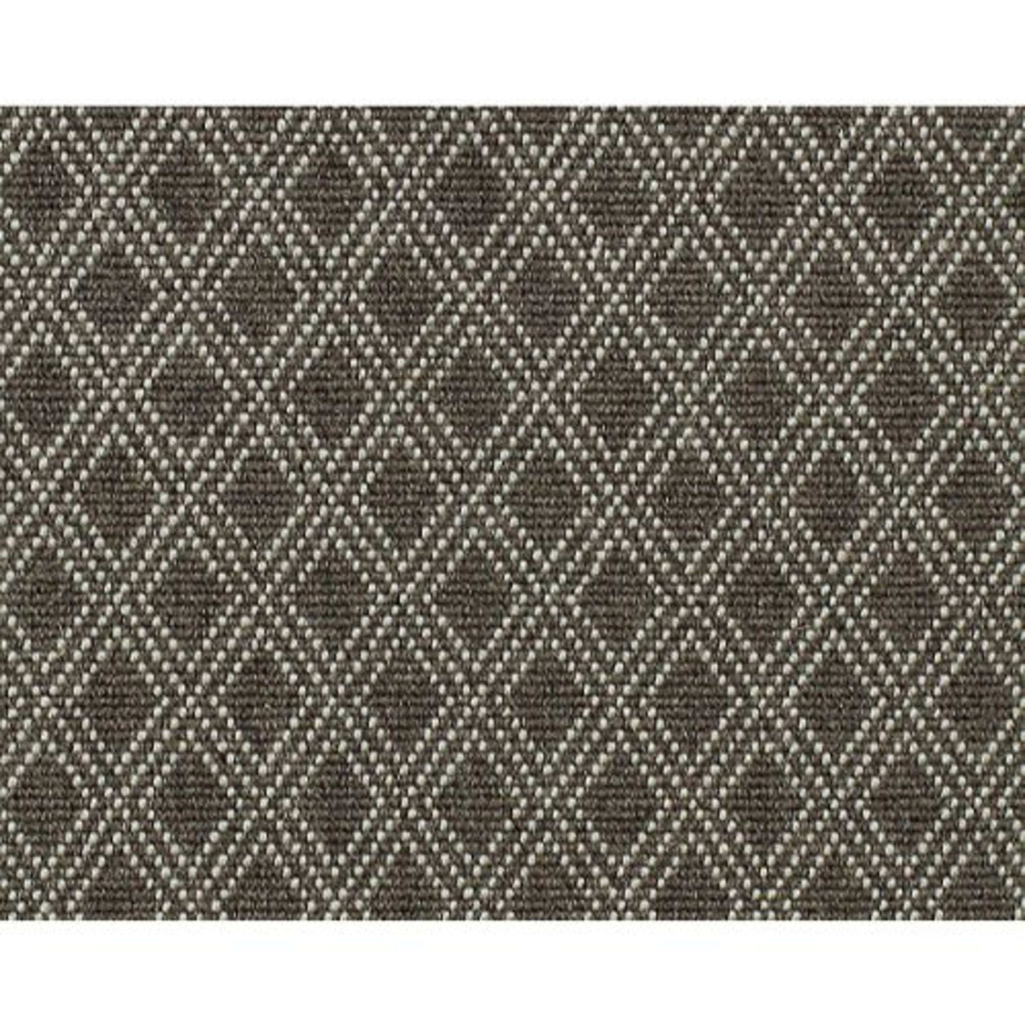 Riddle in Brownstone Carpet