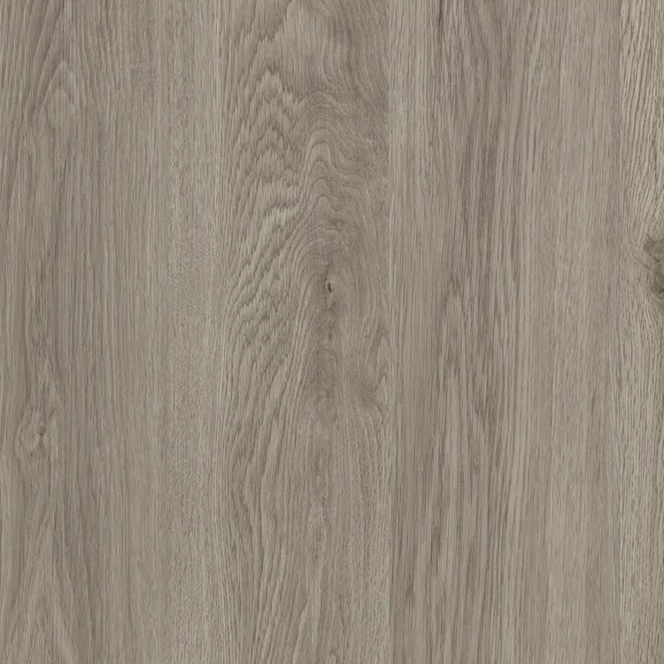 Discovery Ridge in Desert Twilight