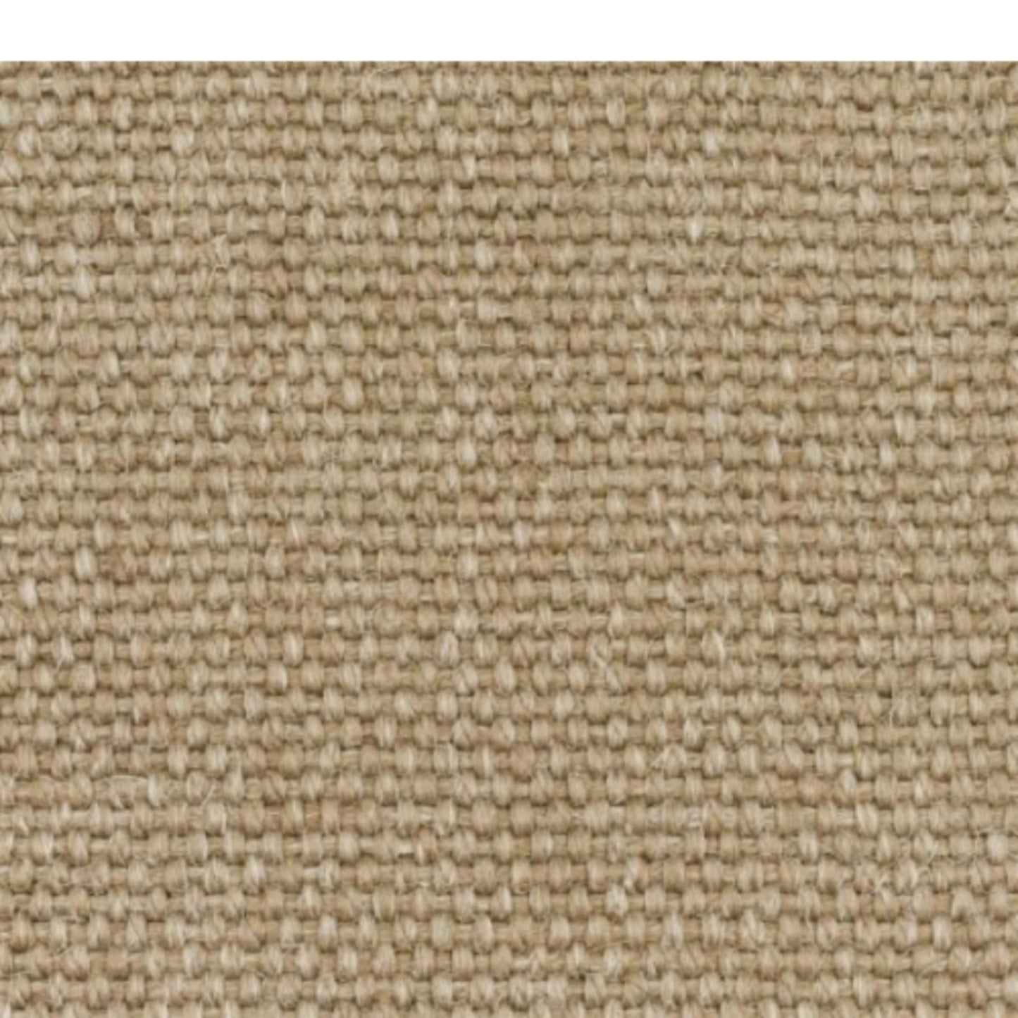 Fermont in Hazelnut Carpet