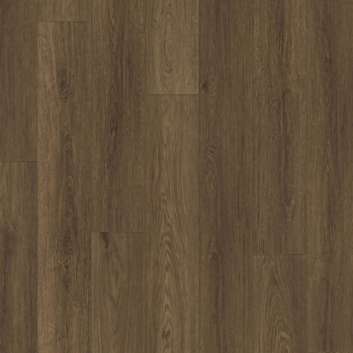 Comfort NE in Cocoa Oak Luxury Vinyl