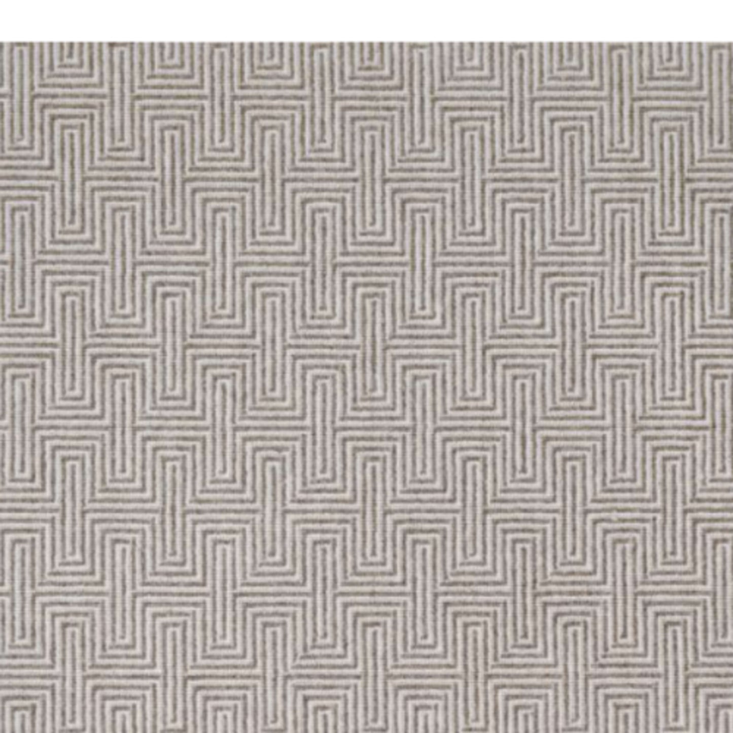 Paulina in Bronze Carpet