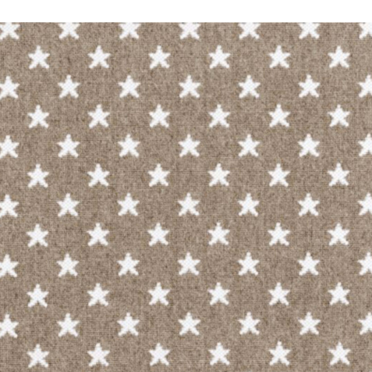 Starry in Greystone Carpet