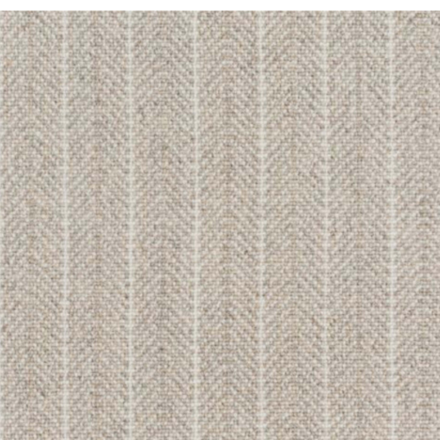 Kimi in Silver Carpet