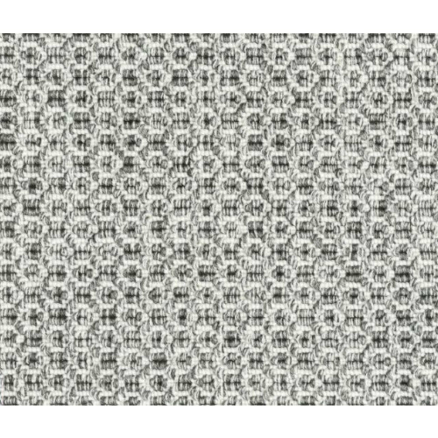 Shandi in Pepper Carpet