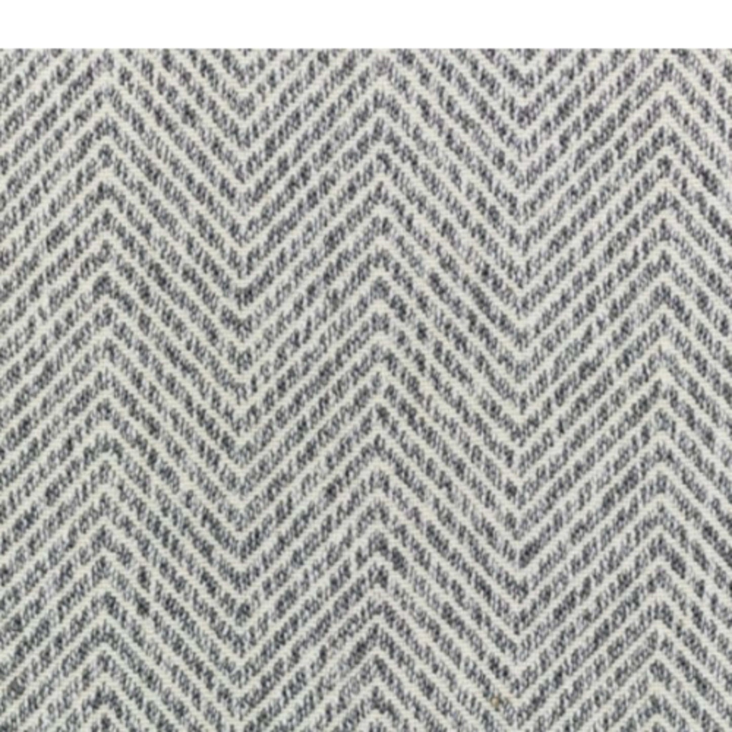 Willis in Pepper Carpet