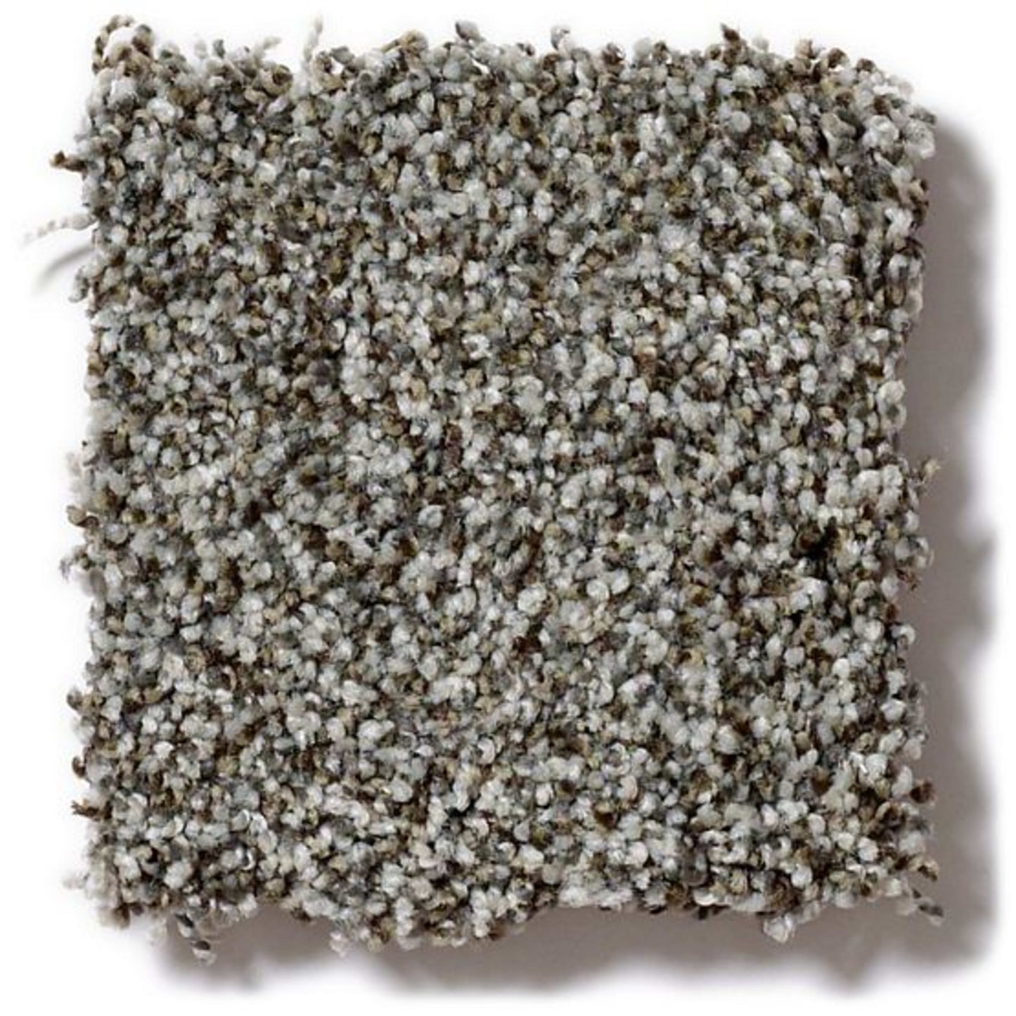 Mollie's Turn in Cavern Carpet