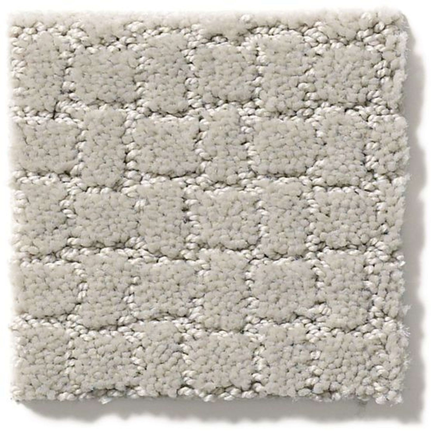 Pawstruck in Calm Carpet