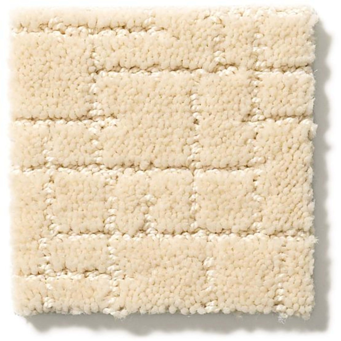 Faux Paw in Antiquity Carpet