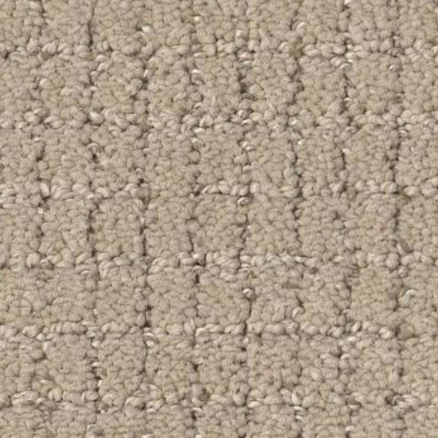 Lyric in Blonde Carpet
