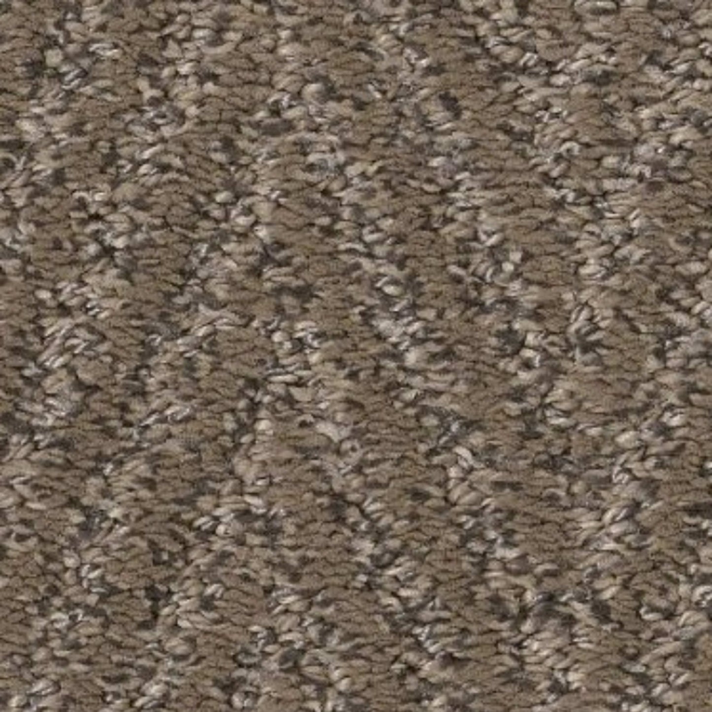 Kit in Sable Carpet