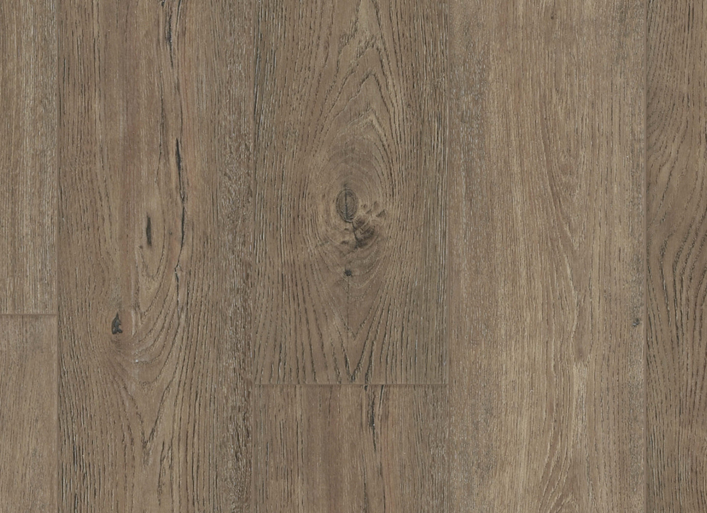 Comfort in Base Camp Hickory