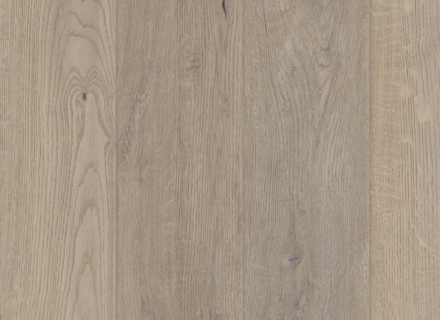 Comfort in Reverie Oak