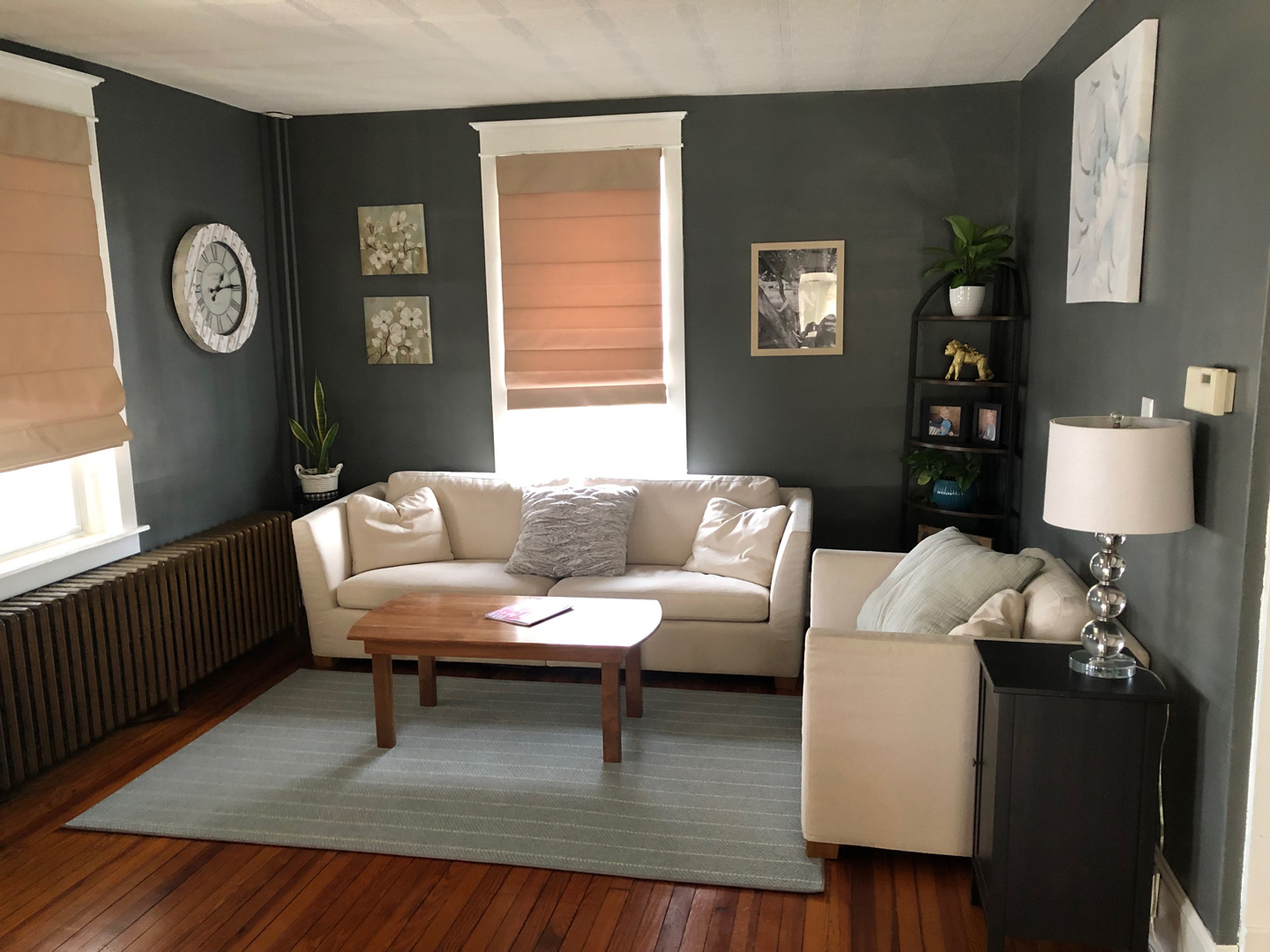Area Rugs
