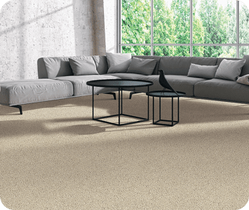 Modern living room flooring | Havertown Carpet
