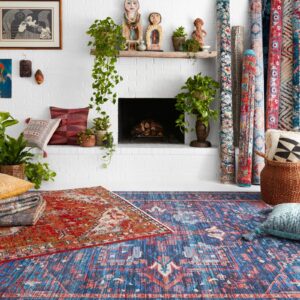 Loloi Area Rug | Havertown Carpet
