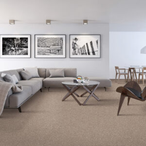 Living room interior | Havertown Carpet