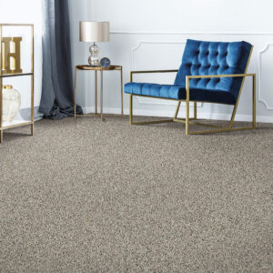 Grey Carpet flooring | Havertown Carpet