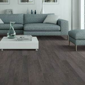 Living room flooring | Havertown Carpet