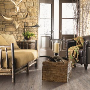 Living room flooring | Havertown Carpet