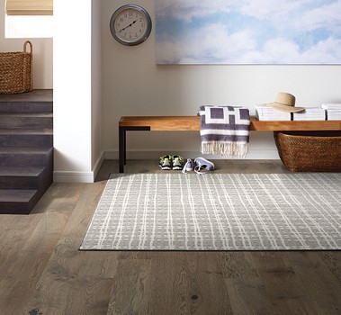 Basement flooring | Havertown Carpet